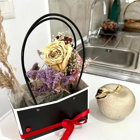 Shell Hom Apartamento *