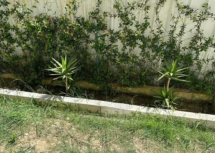 Shell Hom * Golem (Tirana)